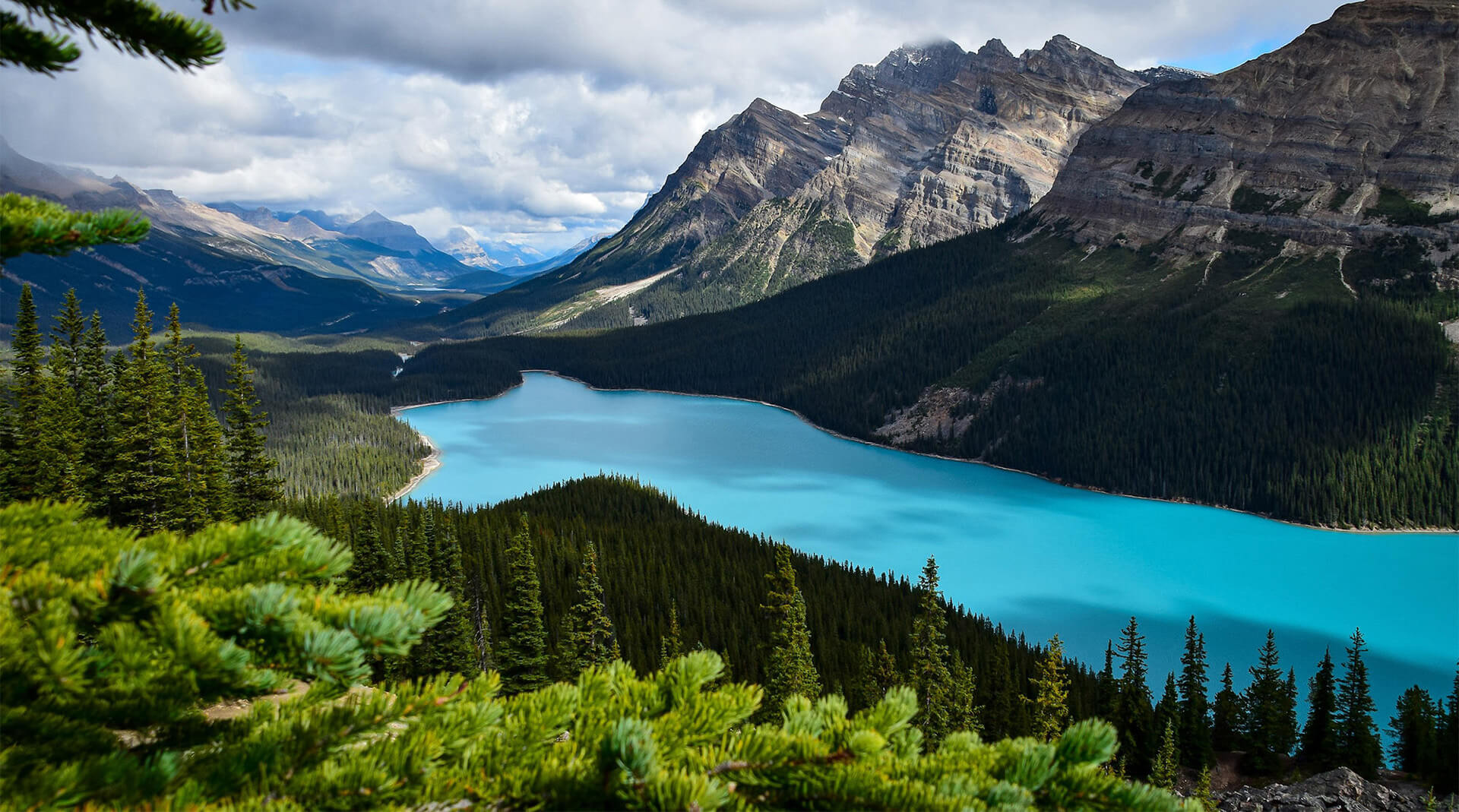 Amazing Picture of nature