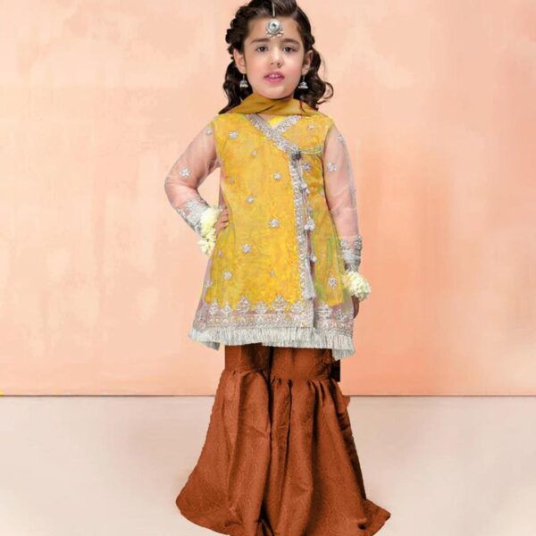 3 Pcs Girl's Lawn Embroidered Unstitched Suit
