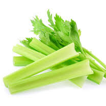 CELERY 1KG TO 5KG