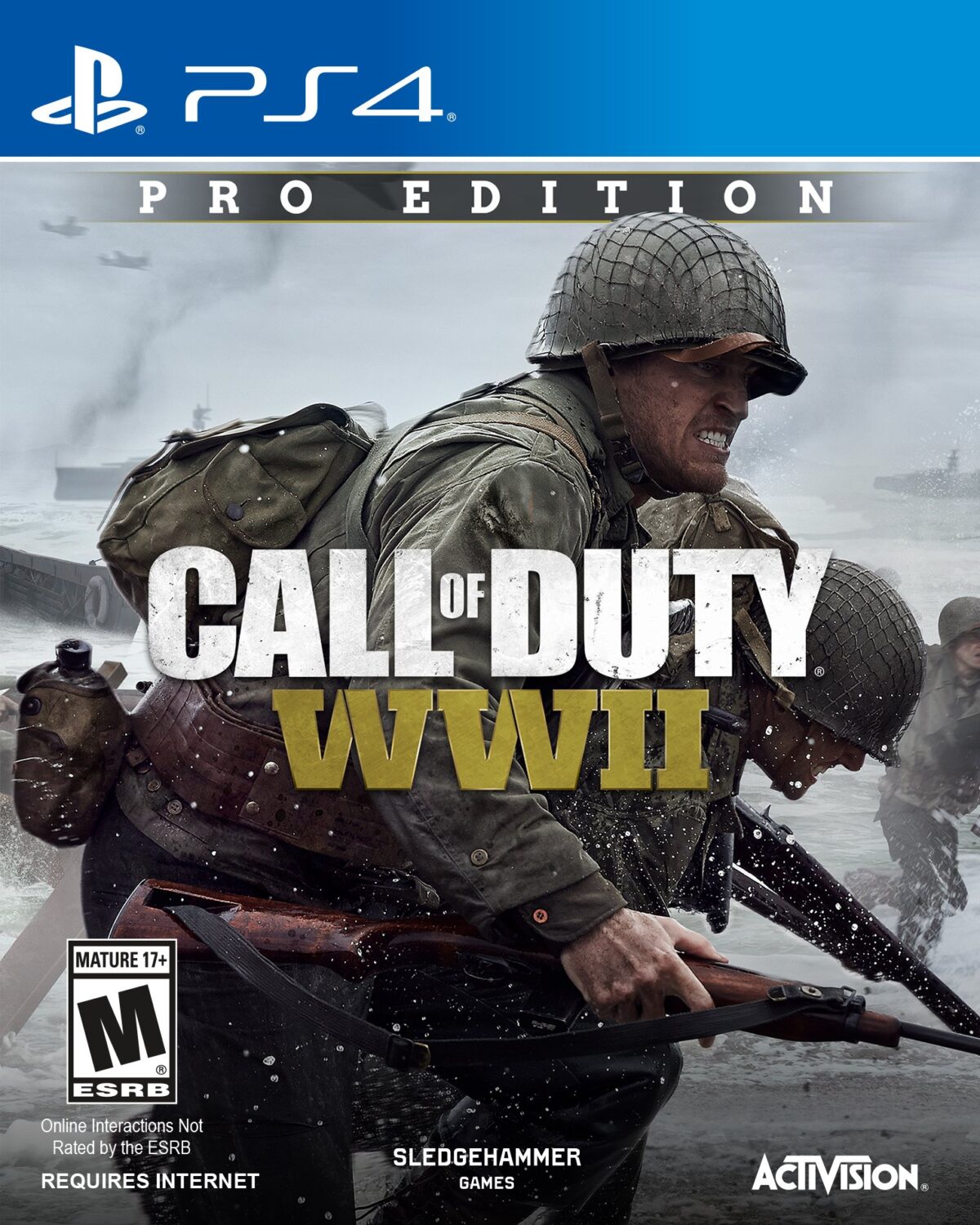 Activision Call of Duty: WWII - PlayStation 4 Long Live pakistan
